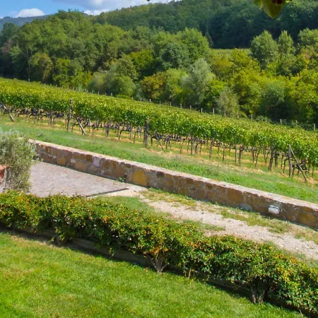 Locazione Turistica Selvapiana By Interhome Greve in Chianti