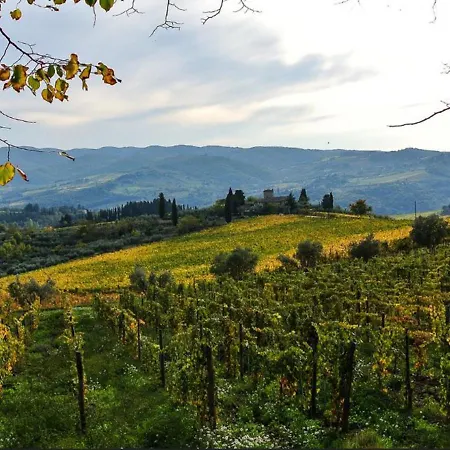 Locazione Turistica Selvapiana By Interhome * Greve in Chianti